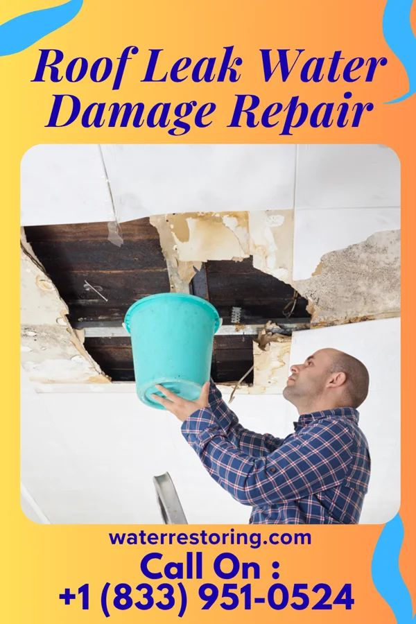 Roof Leak Water Damage Repair in Mullin, TX